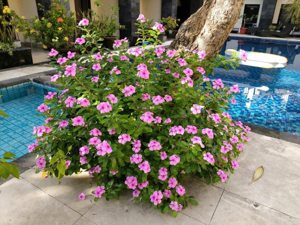 Radha Bali Hotel Kuta Lombok Eksteriør billede