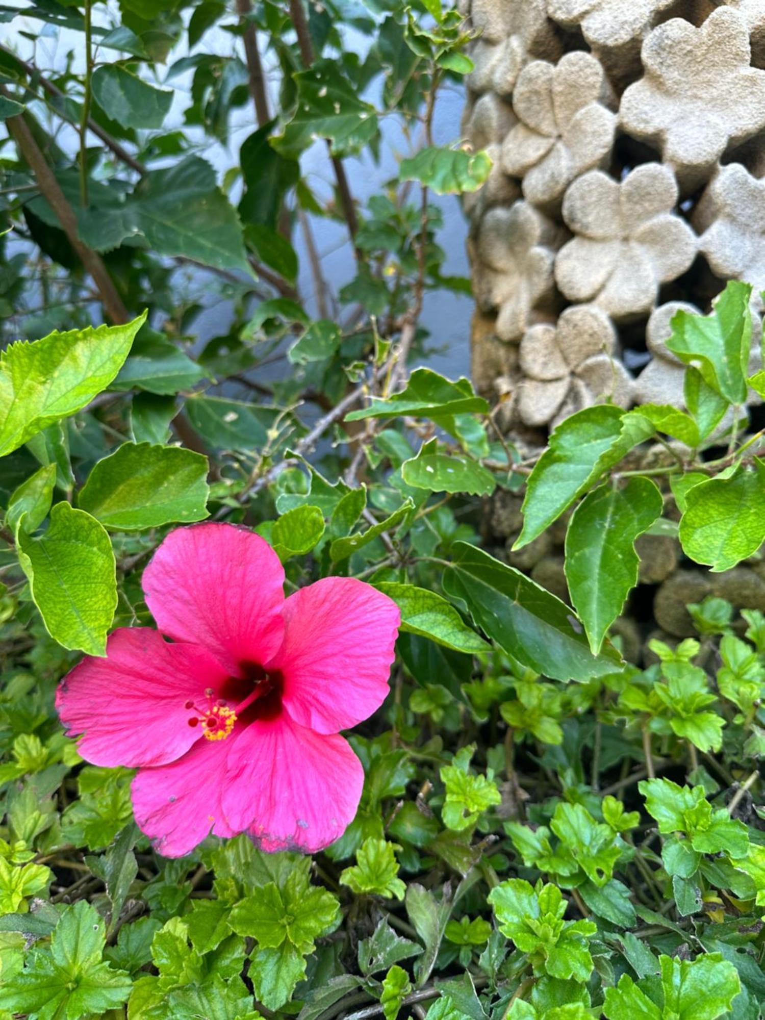 Radha Bali Hotel Kuta Lombok Eksteriør billede